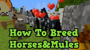 https://newsxfeed.com/minecraft-book-and-quill-full-details-and-updates/