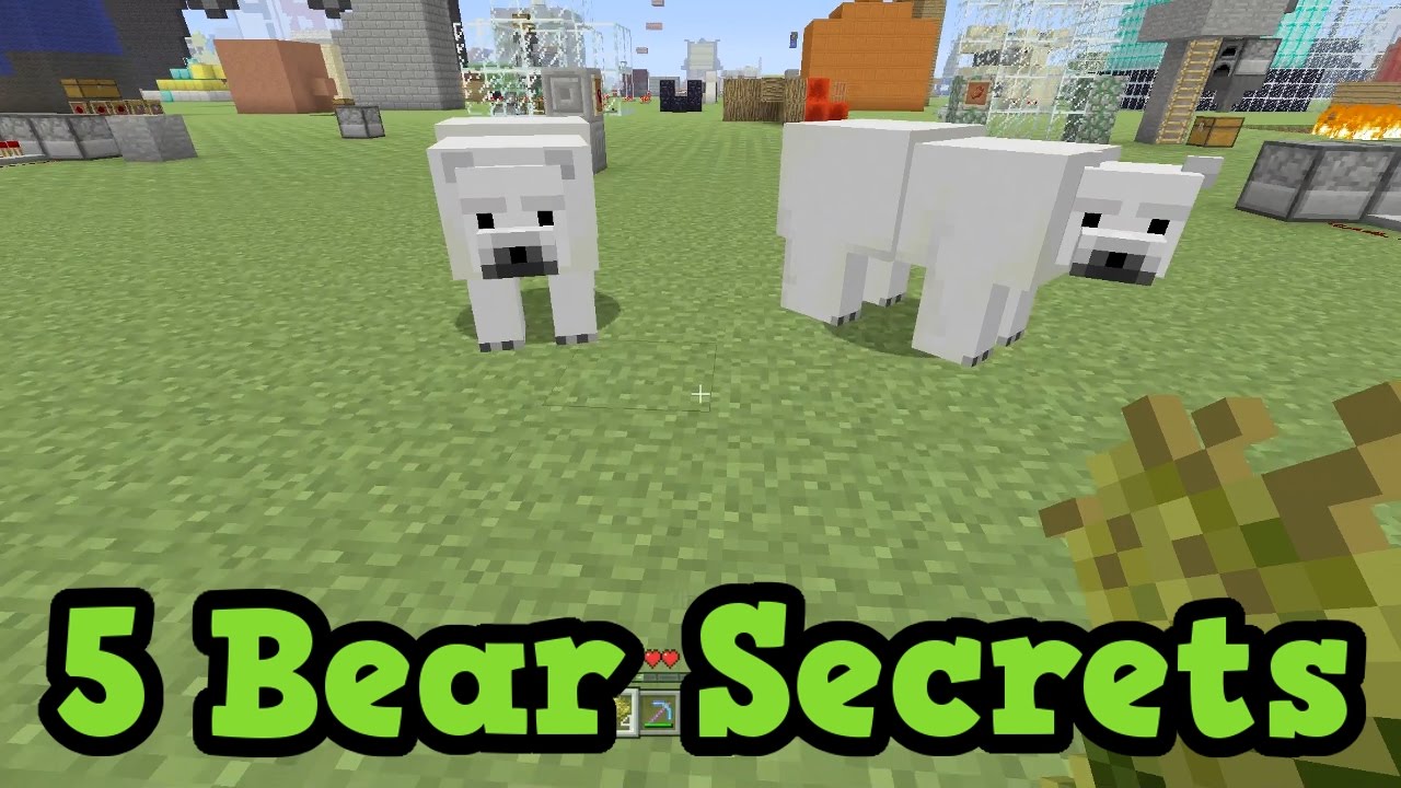 What do Polar Bears Eat in Minecraft Fully Details